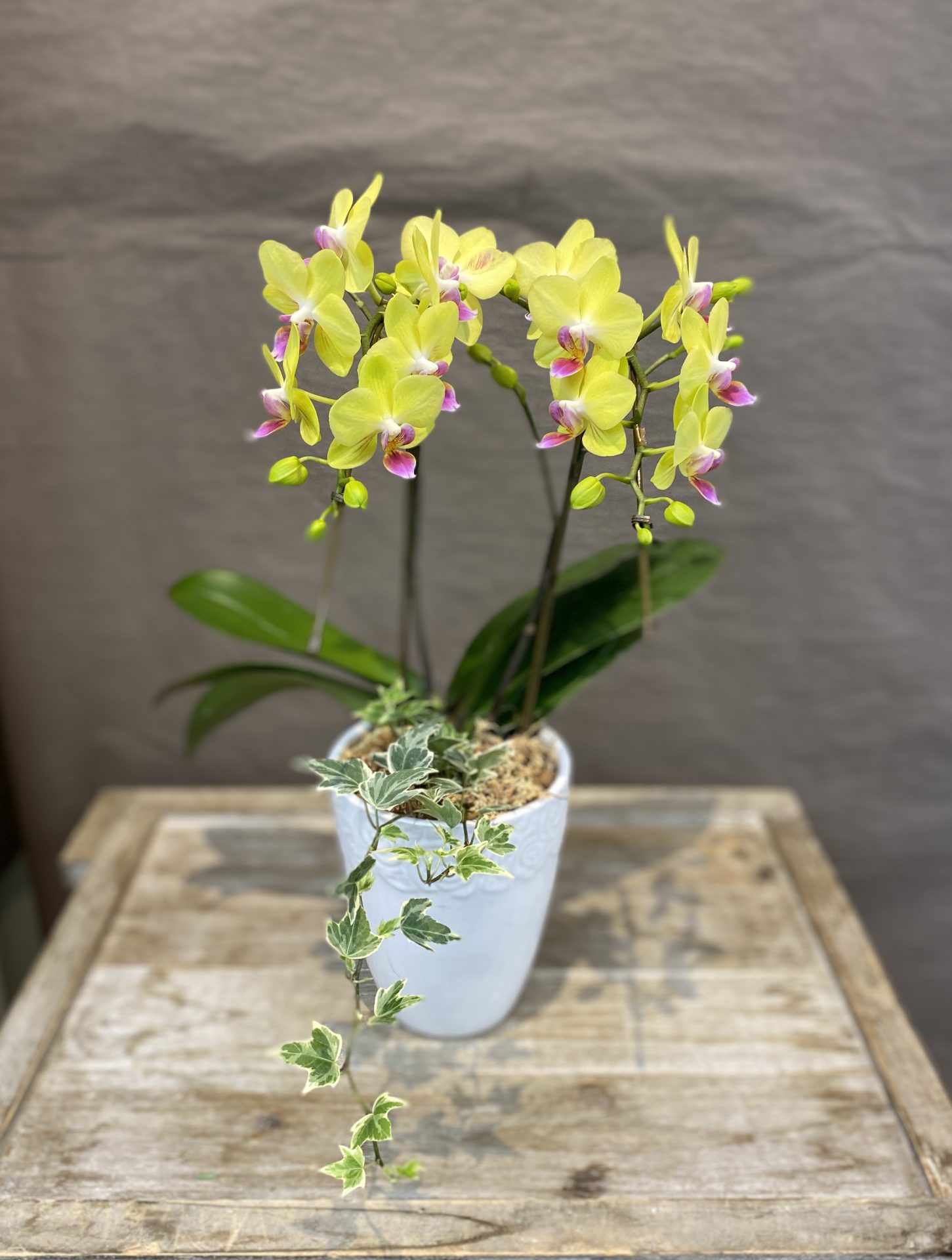 /|佐世保の花屋さん 花徳フローリスト