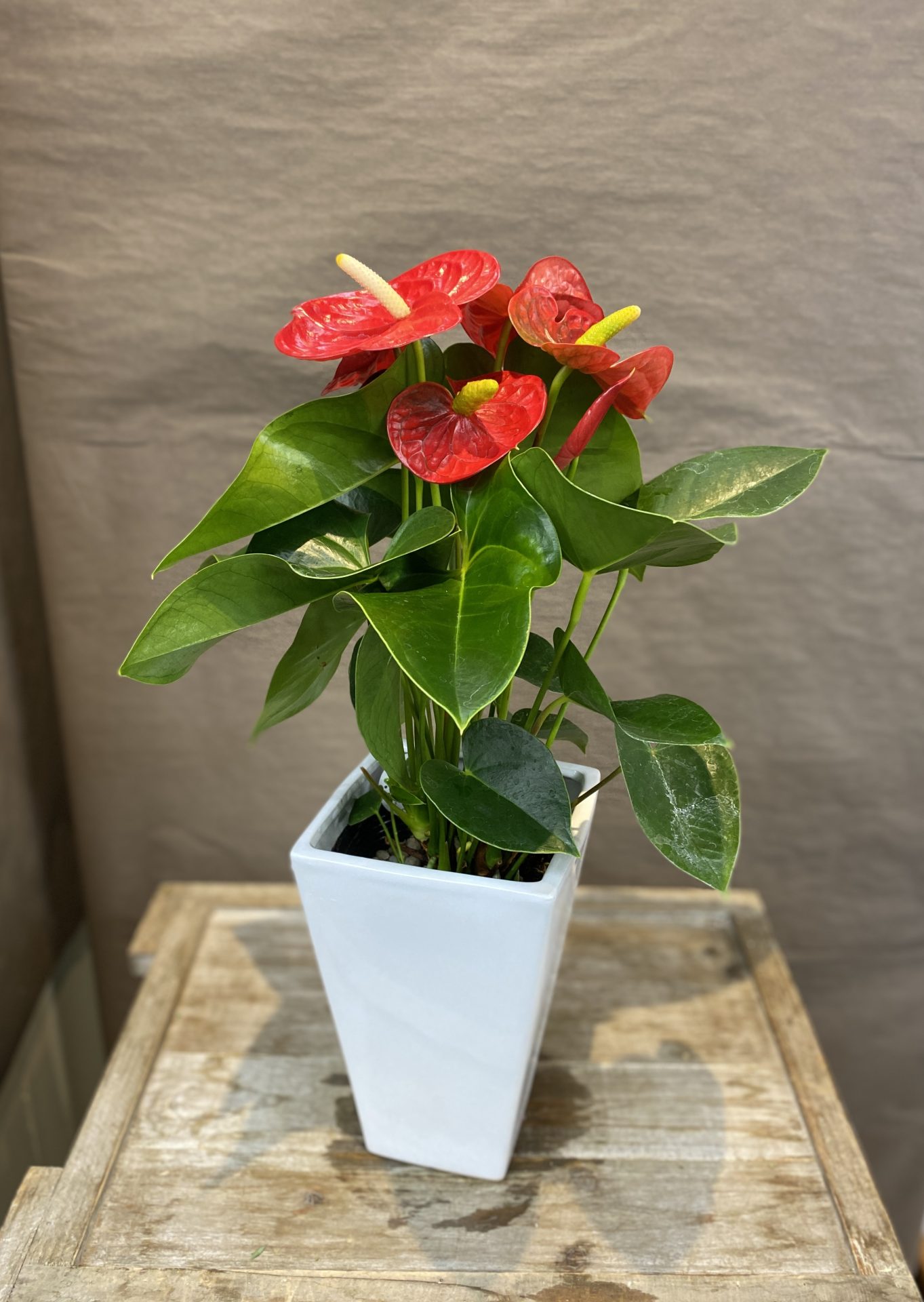 /|佐世保の花屋さん 花徳フローリスト