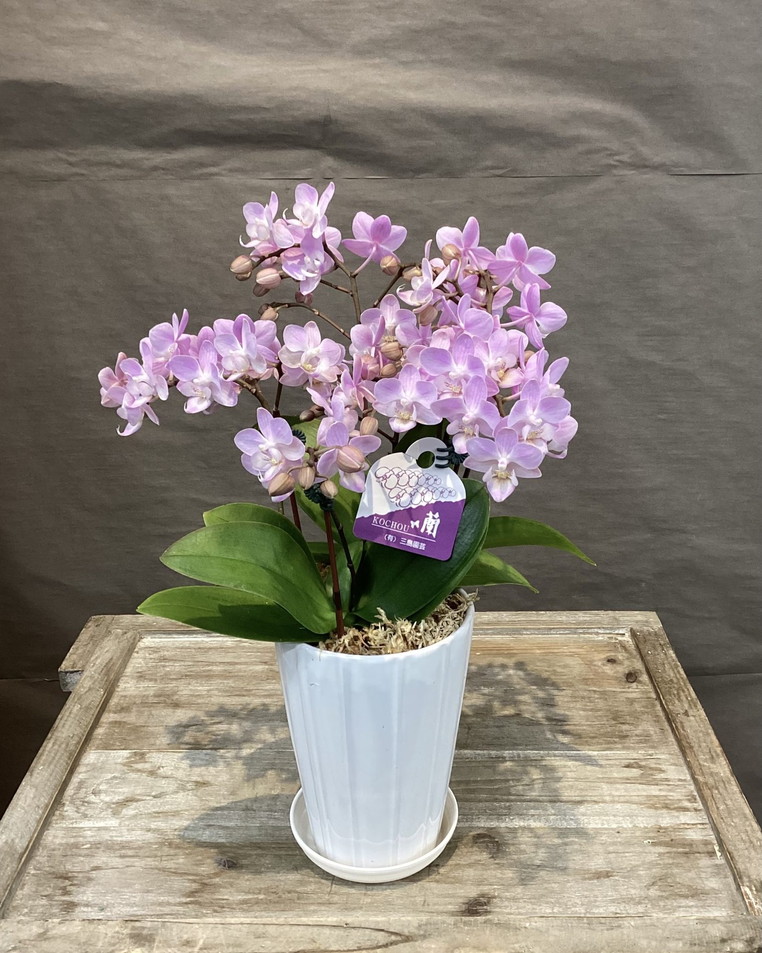 /|佐世保の花屋さん 花徳フローリスト