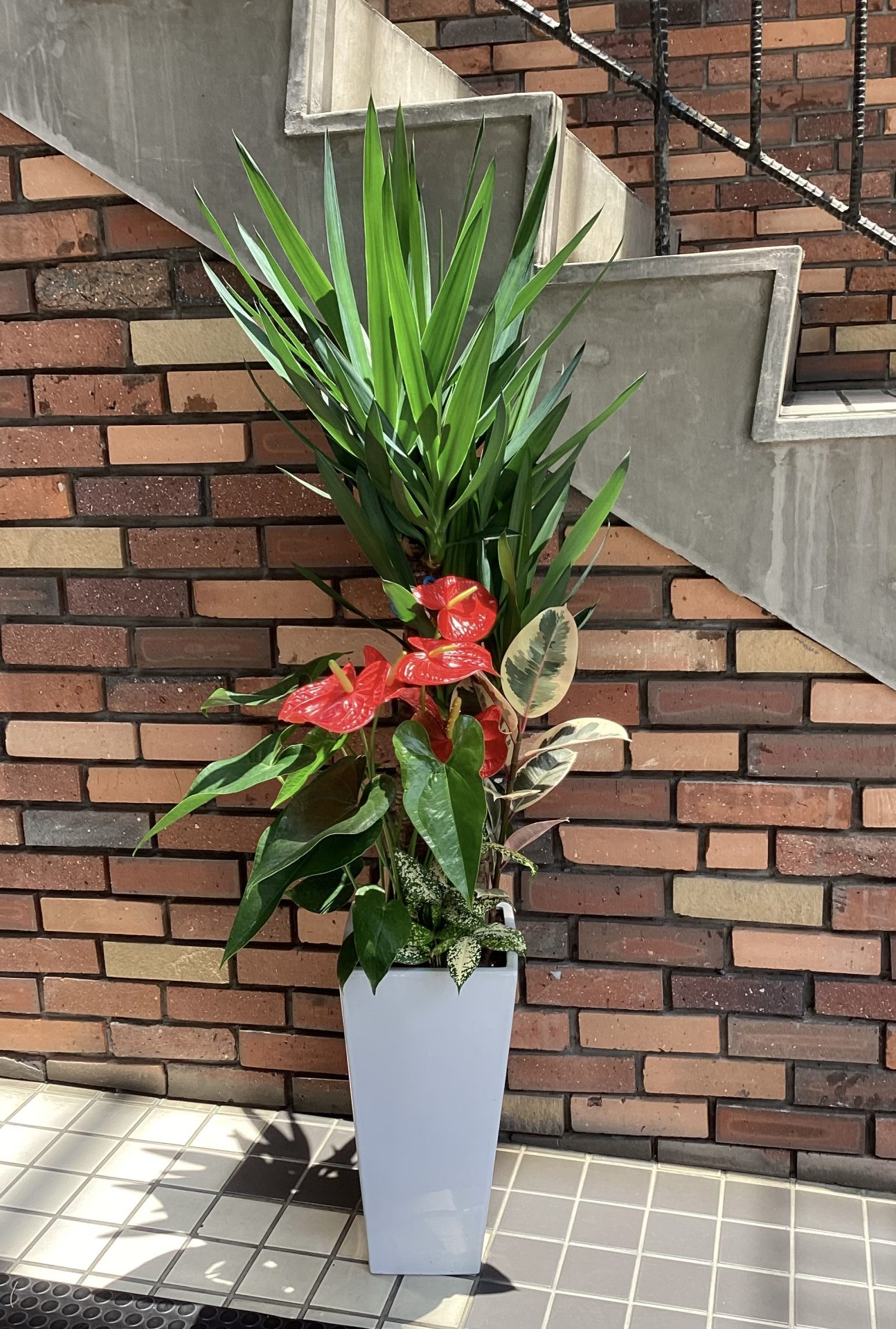 /|佐世保の花屋さん 花徳フローリスト