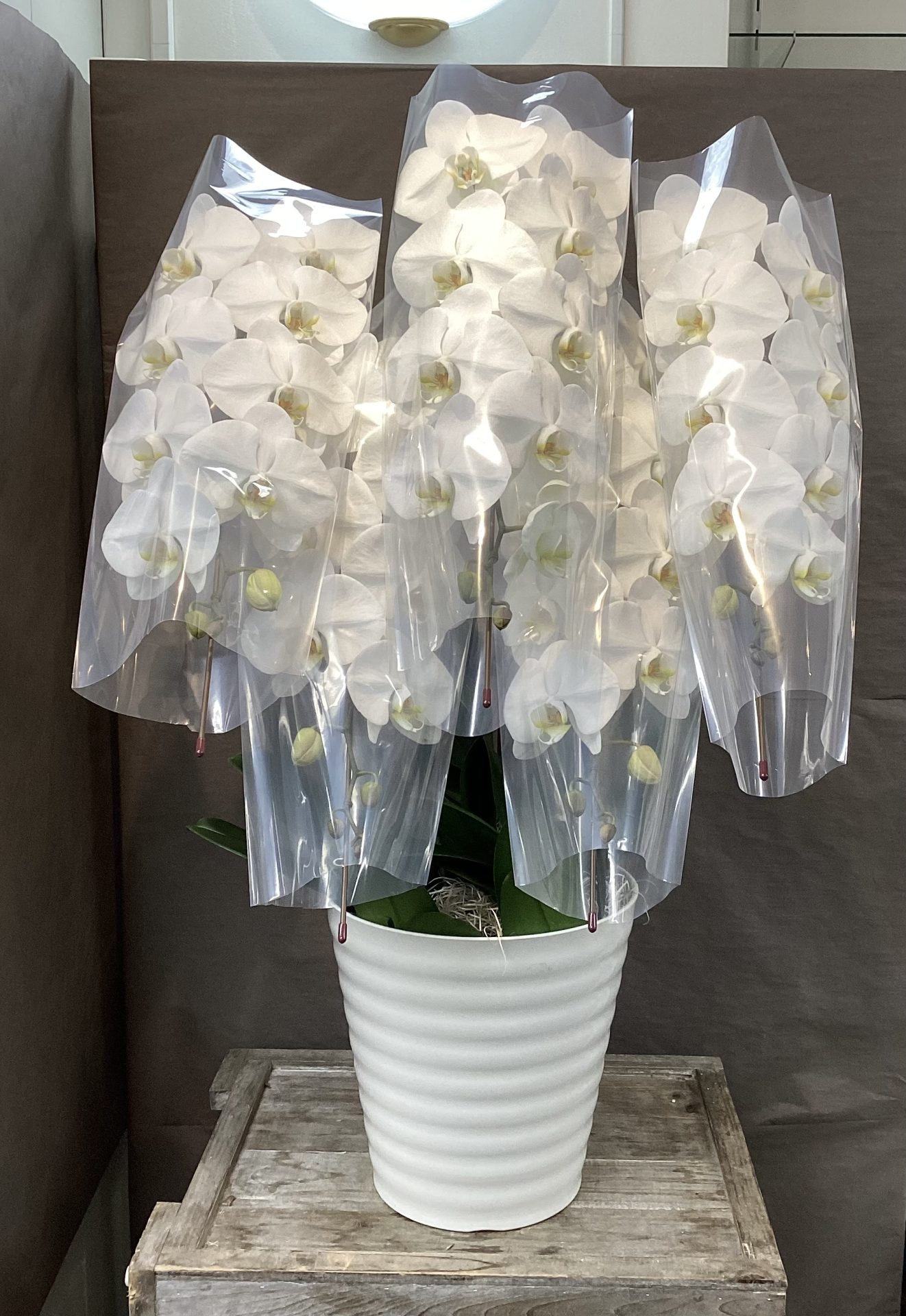 /|佐世保の花屋さん 花徳フローリスト