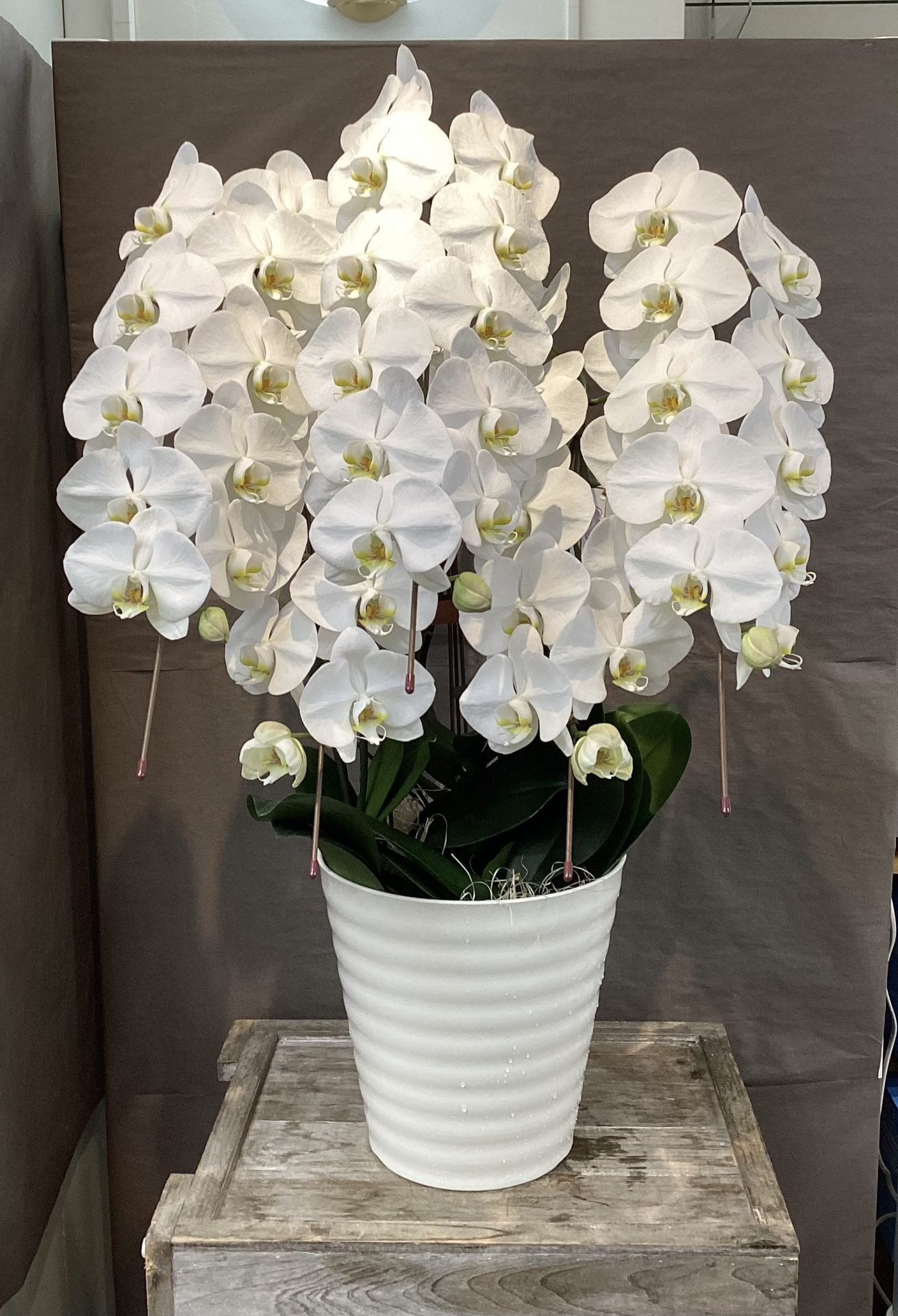 /|佐世保の花屋さん 花徳フローリスト