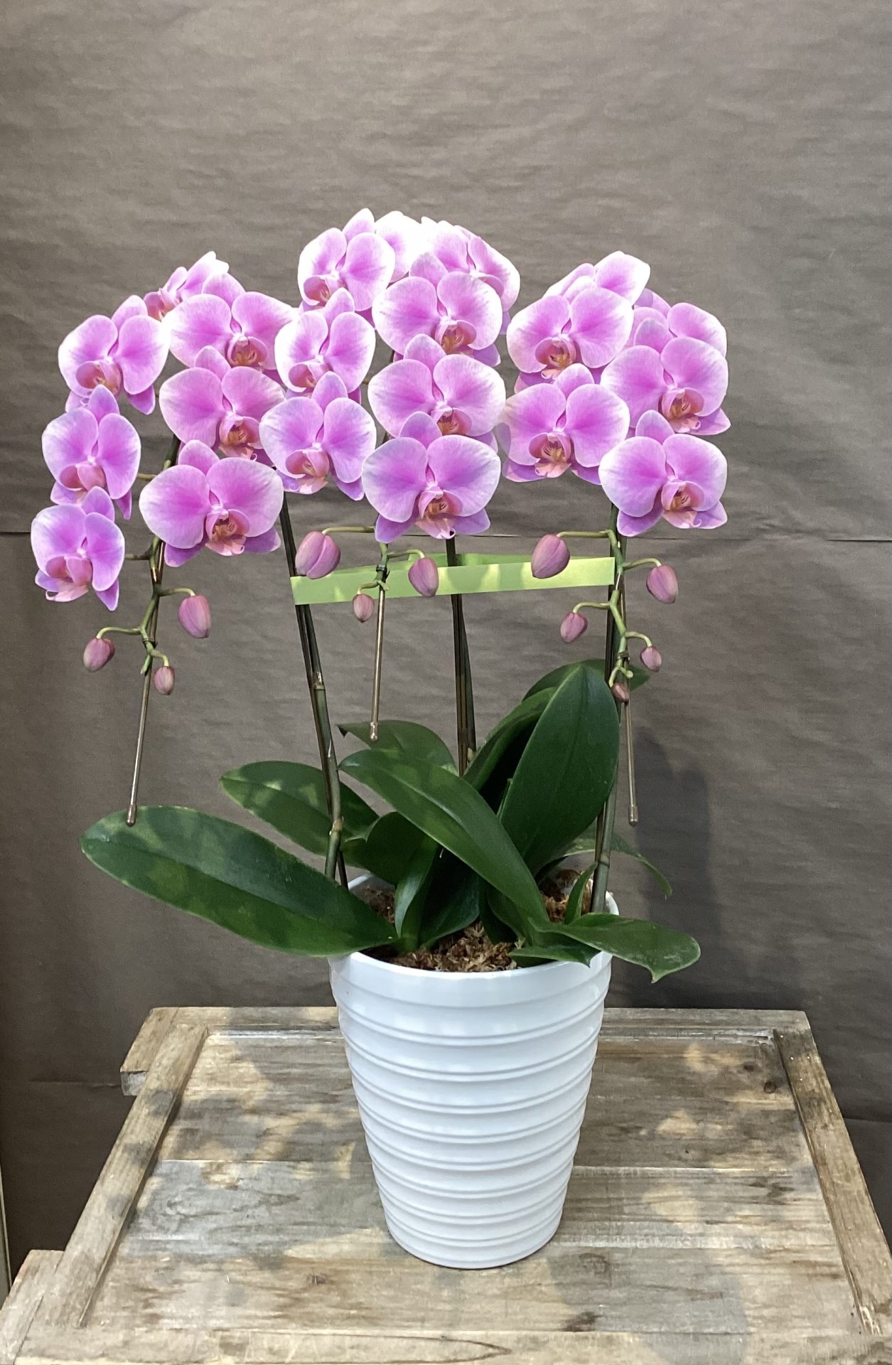 /|佐世保の花屋さん 花徳フローリスト
