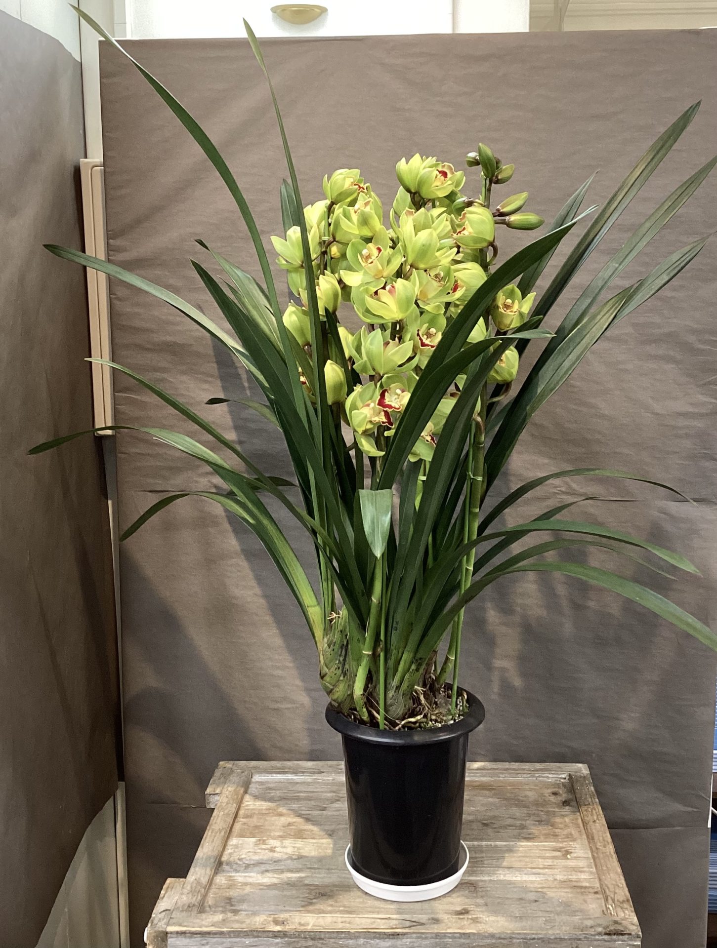 /|佐世保の花屋さん 花徳フローリスト