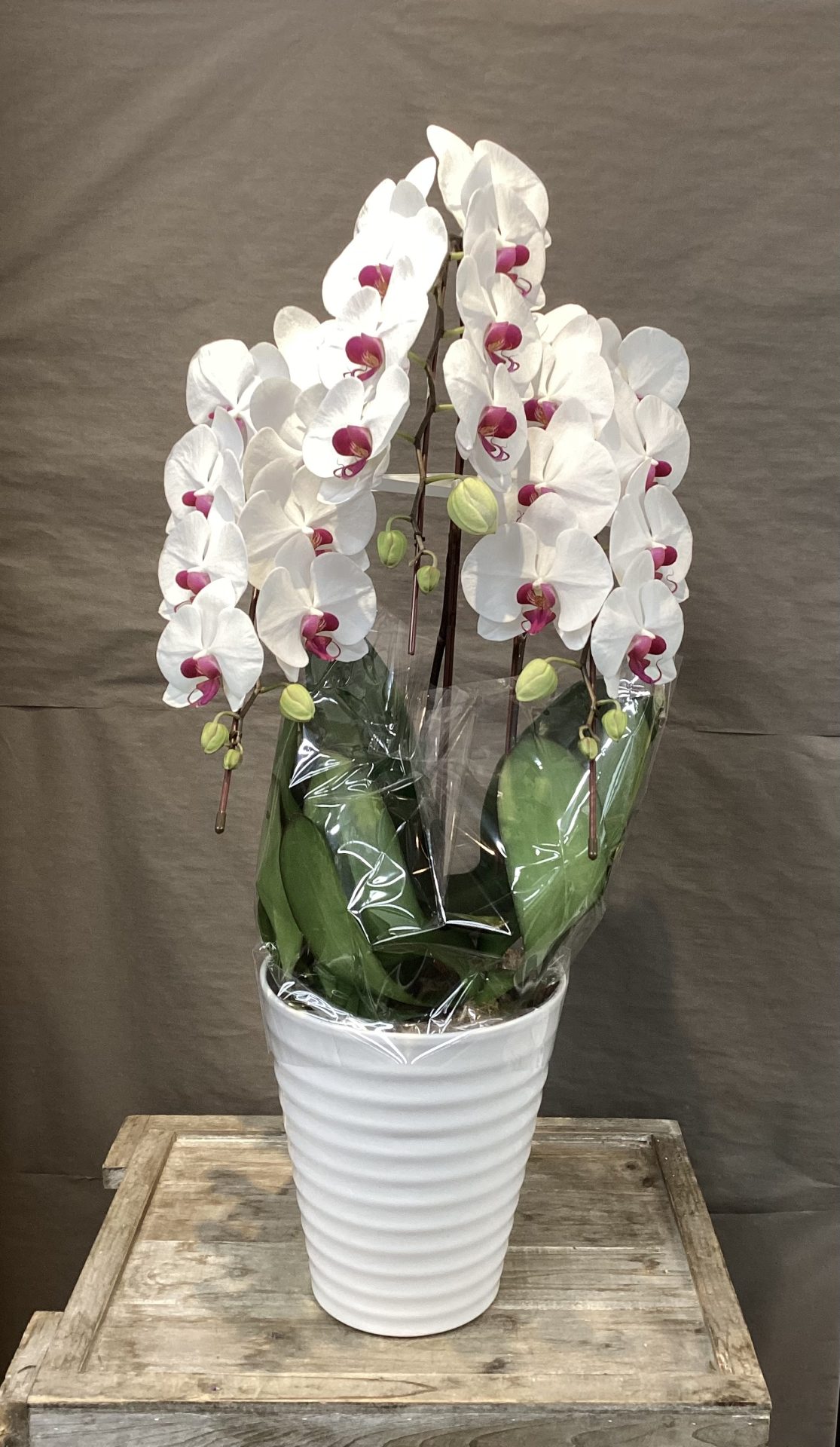 /|佐世保の花屋さん 花徳フローリスト