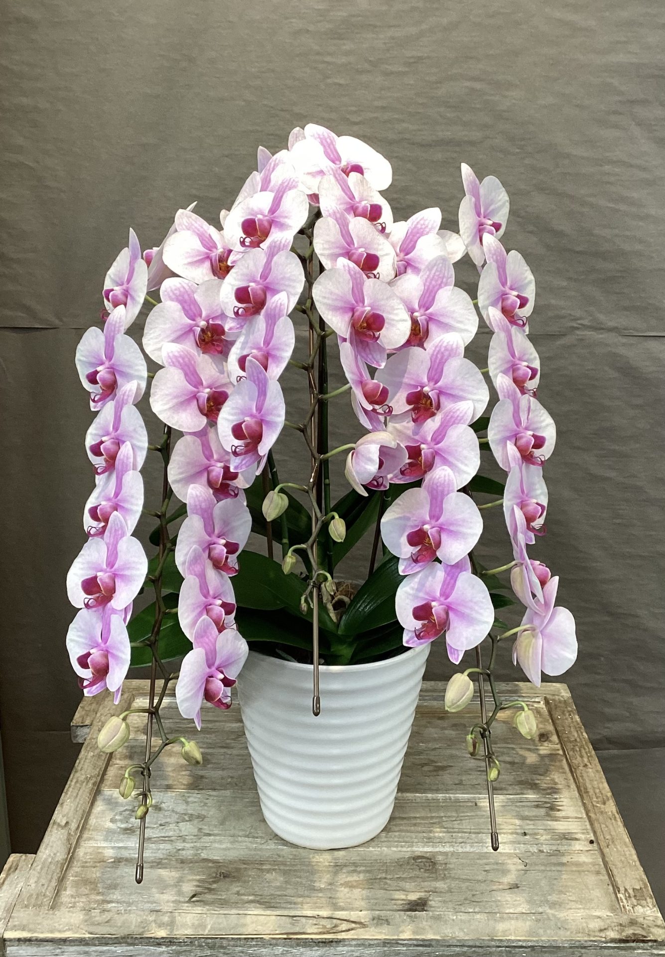 /|佐世保の花屋さん 花徳フローリスト