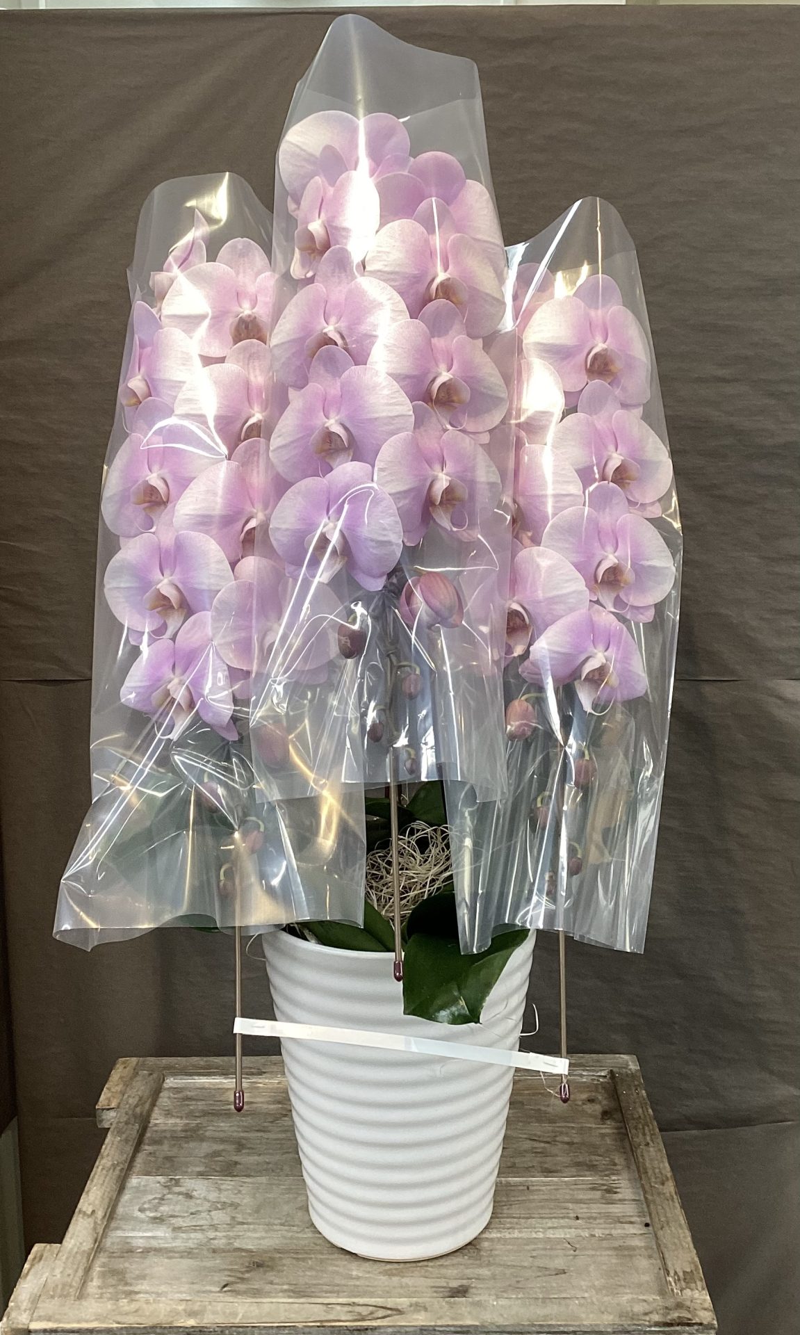 /|佐世保の花屋さん 花徳フローリスト