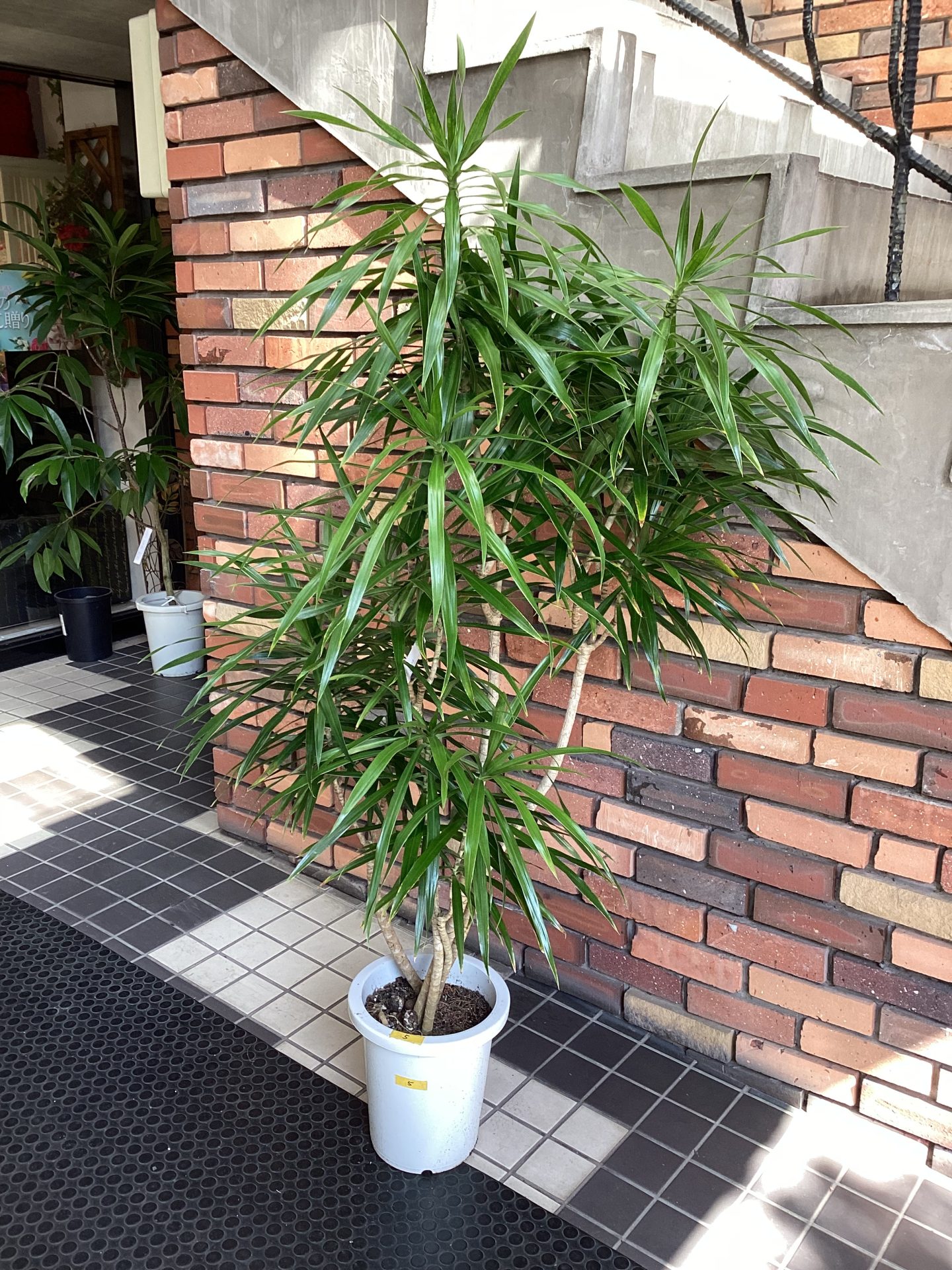 /|佐世保の花屋さん 花徳フローリスト