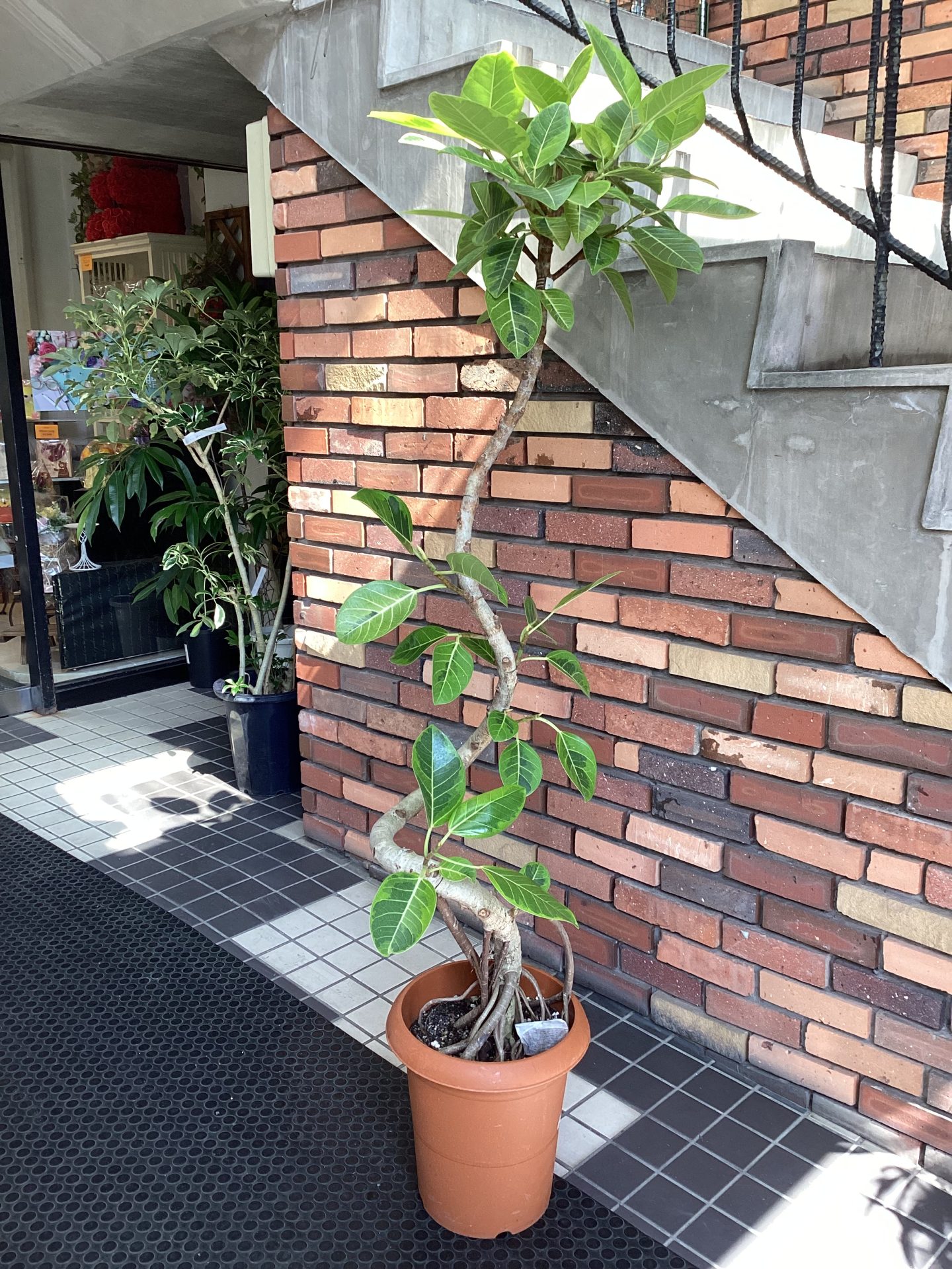 /|佐世保の花屋さん 花徳フローリスト