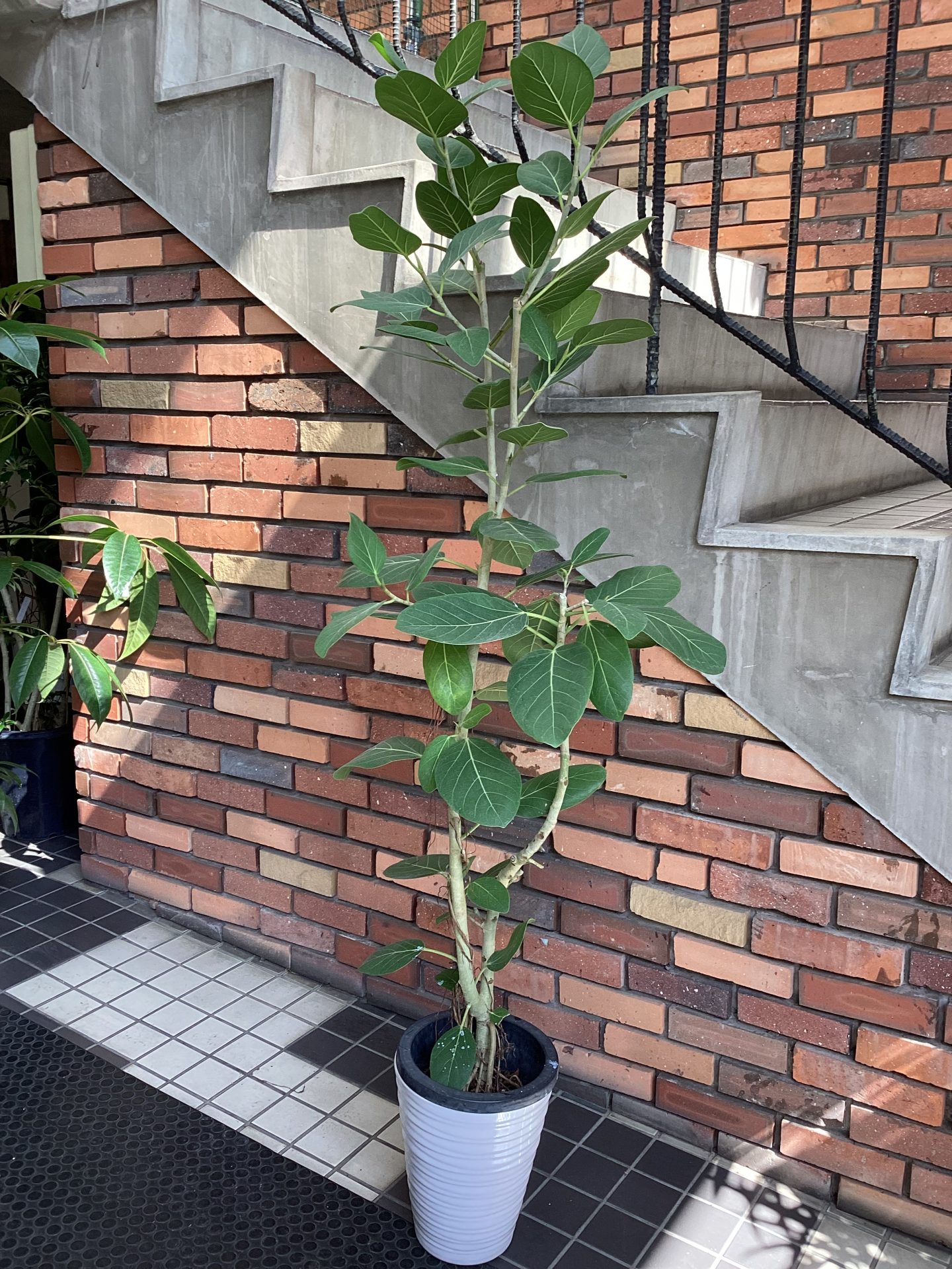 /|佐世保の花屋さん 花徳フローリスト