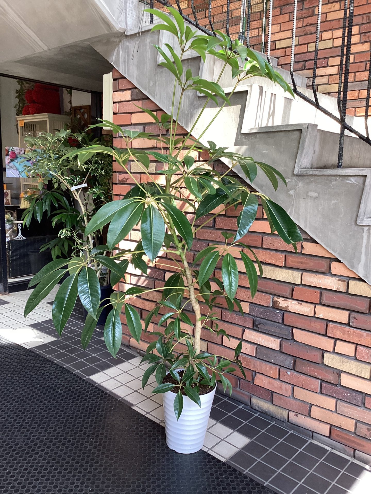 /|佐世保の花屋さん 花徳フローリスト