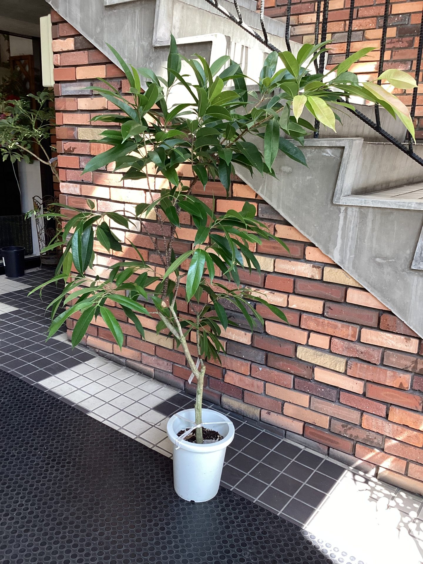 /|佐世保の花屋さん 花徳フローリスト