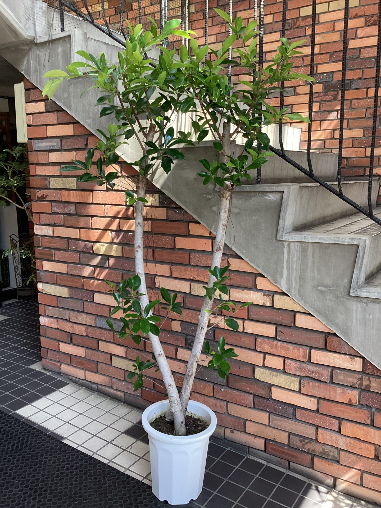 /|佐世保の花屋さん 花徳フローリスト