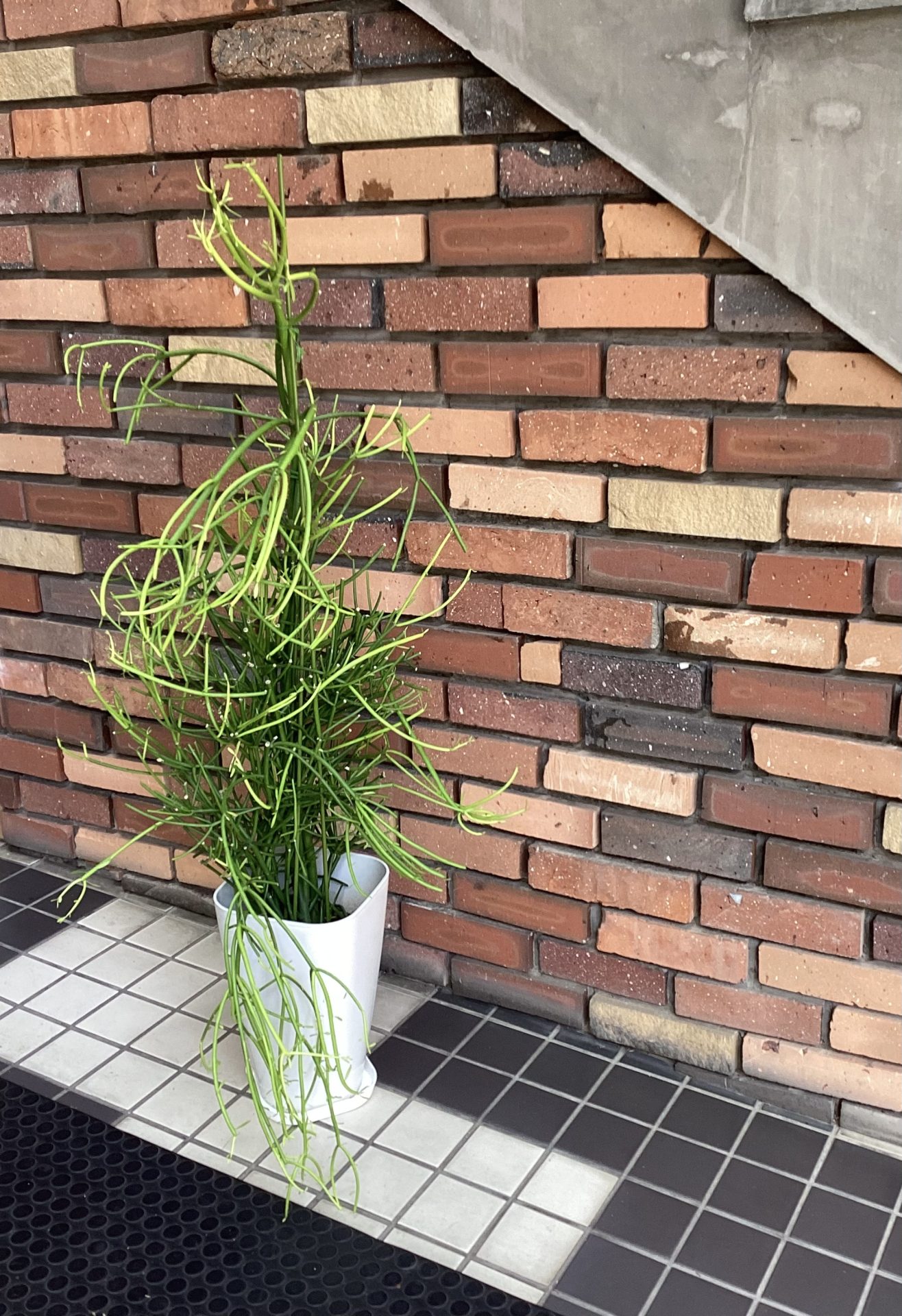 /|佐世保の花屋さん 花徳フローリスト