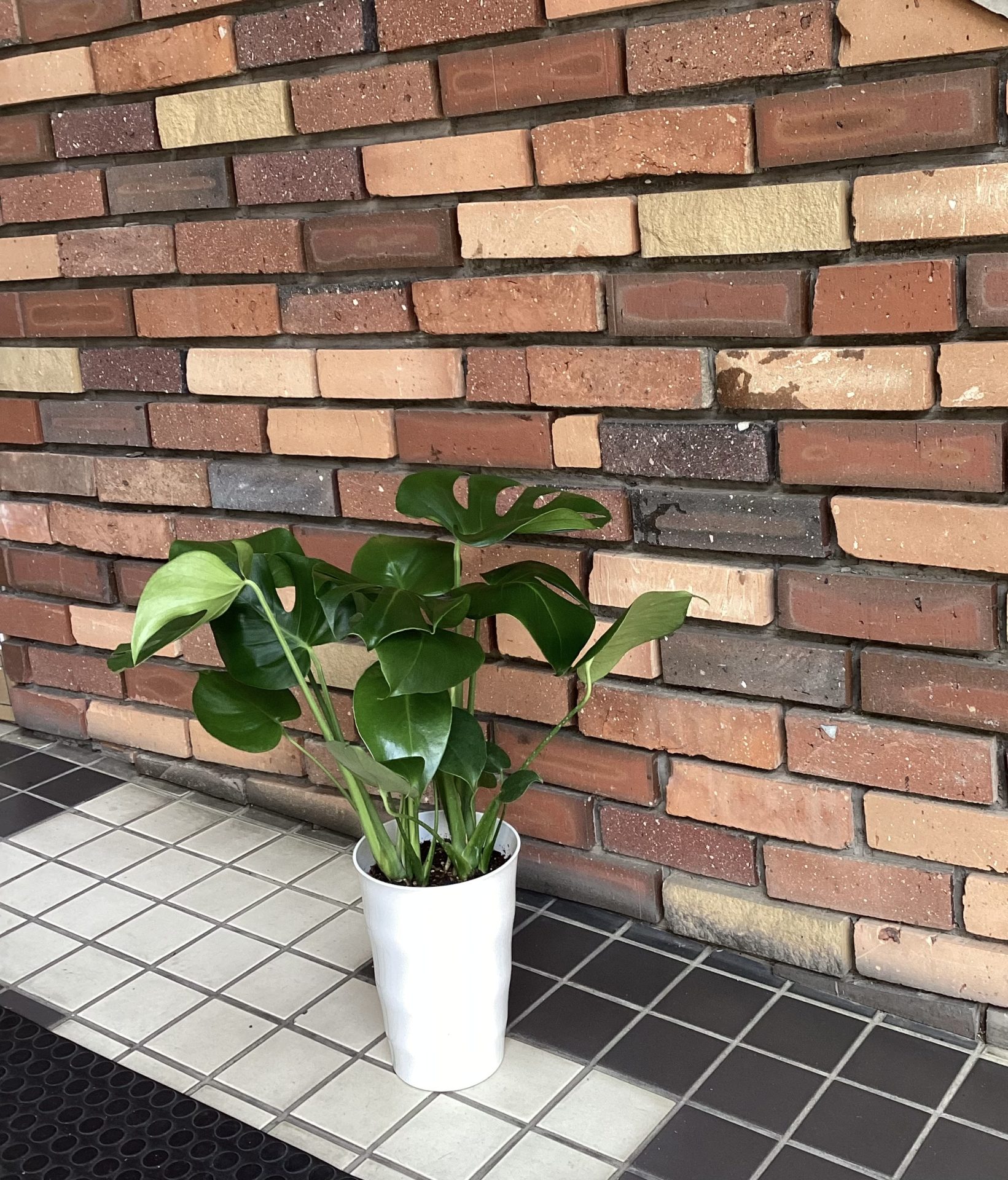 /|佐世保の花屋さん 花徳フローリスト