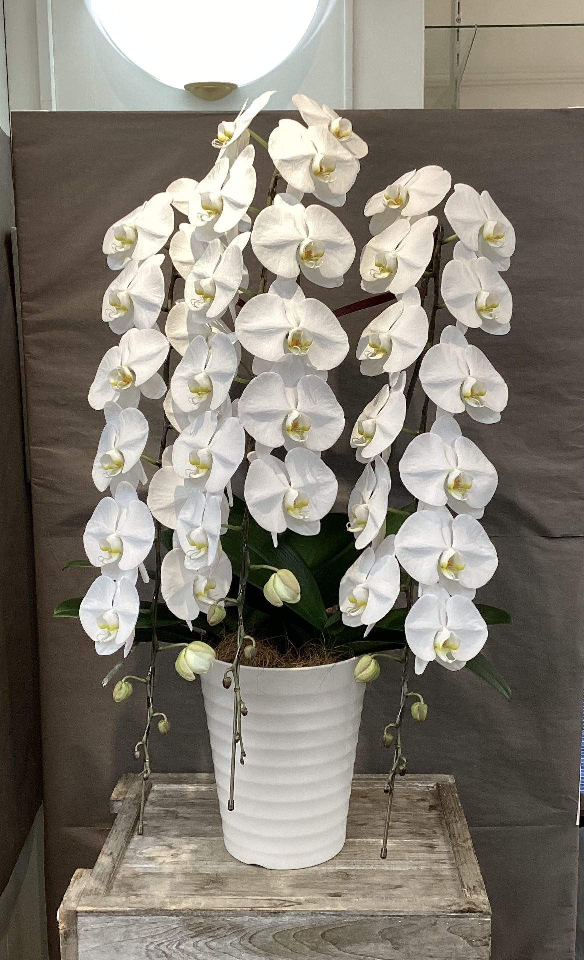 /|佐世保の花屋さん 花徳フローリスト