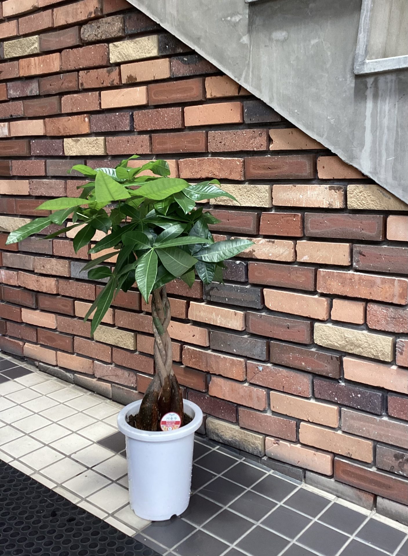 /|佐世保の花屋さん 花徳フローリスト