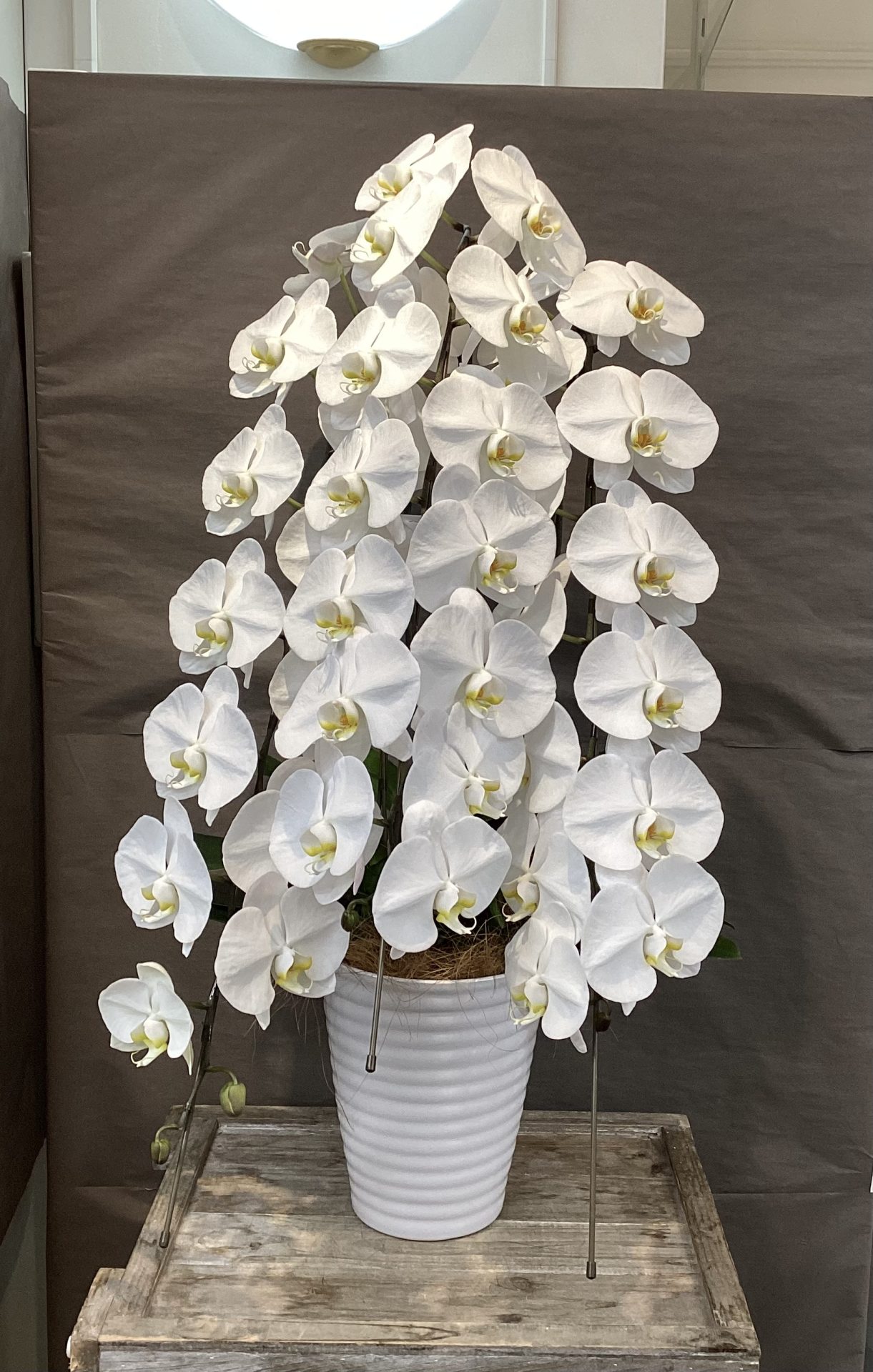 /|佐世保の花屋さん 花徳フローリスト