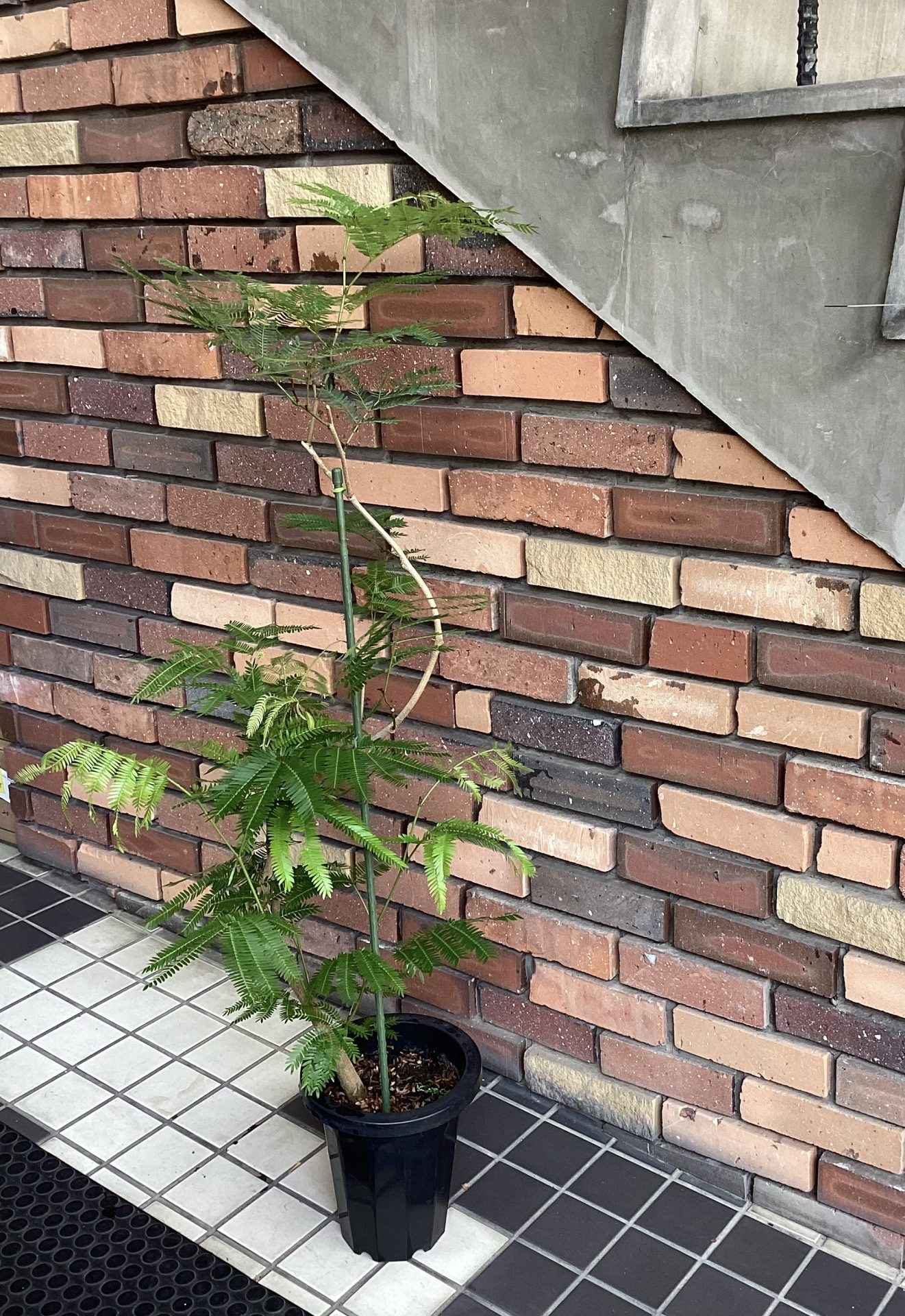 /|佐世保の花屋さん 花徳フローリスト