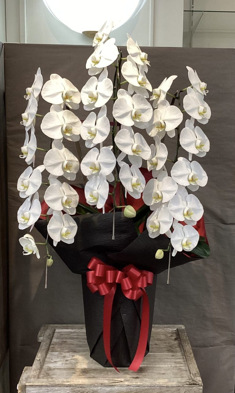 /|佐世保の花屋さん 花徳フローリスト