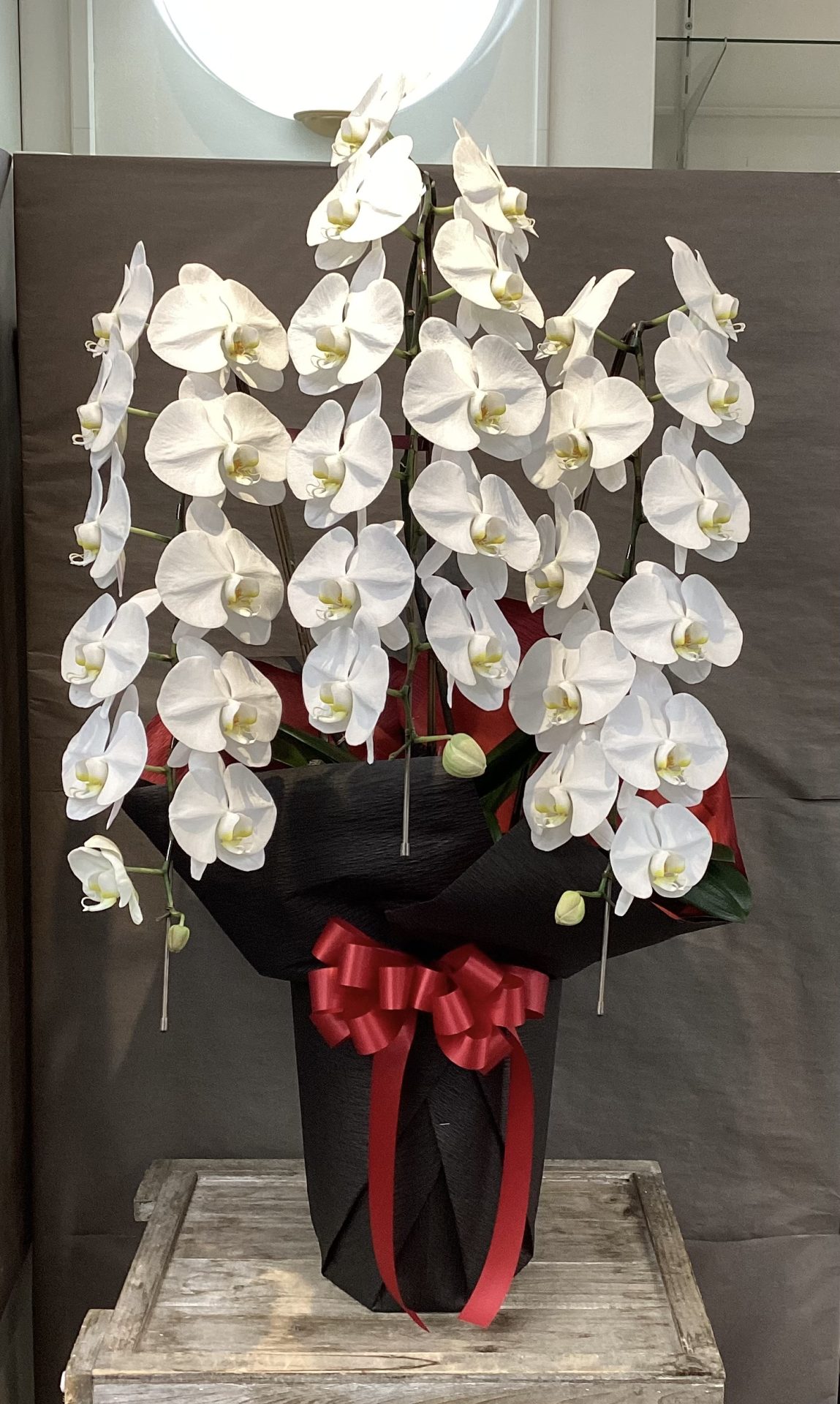 /|佐世保の花屋さん 花徳フローリスト